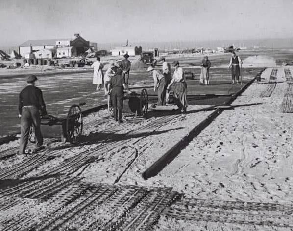 Construction of Sde Dov airport along the Tel Aviv coast, 1937–38